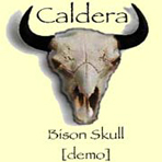 CALDERA - Bison Skull cover 