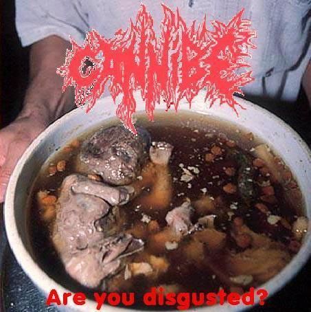 CANNIBE - Are You Disgusted? cover 