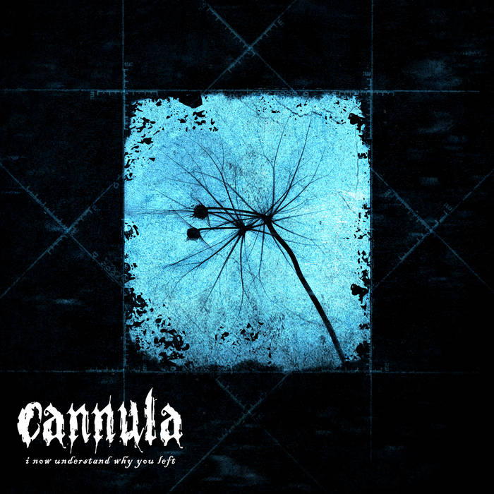 CANNULA - I Now Understand Why You Left cover 