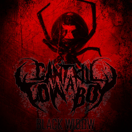 CAN'T KILL A COWBOY - Black Widow cover 
