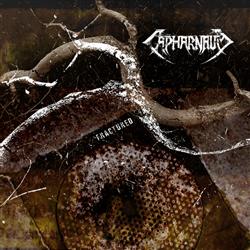 CAPHARNAUM - Fractured cover 