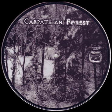 CARPATHIAN FOREST - He's Turning Blue cover 