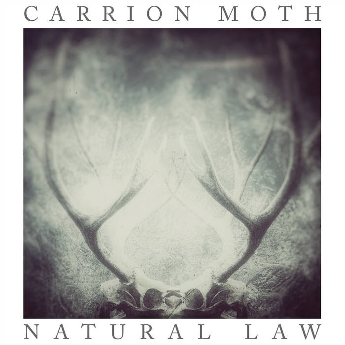 CARRION MOTH - Natural Law cover 