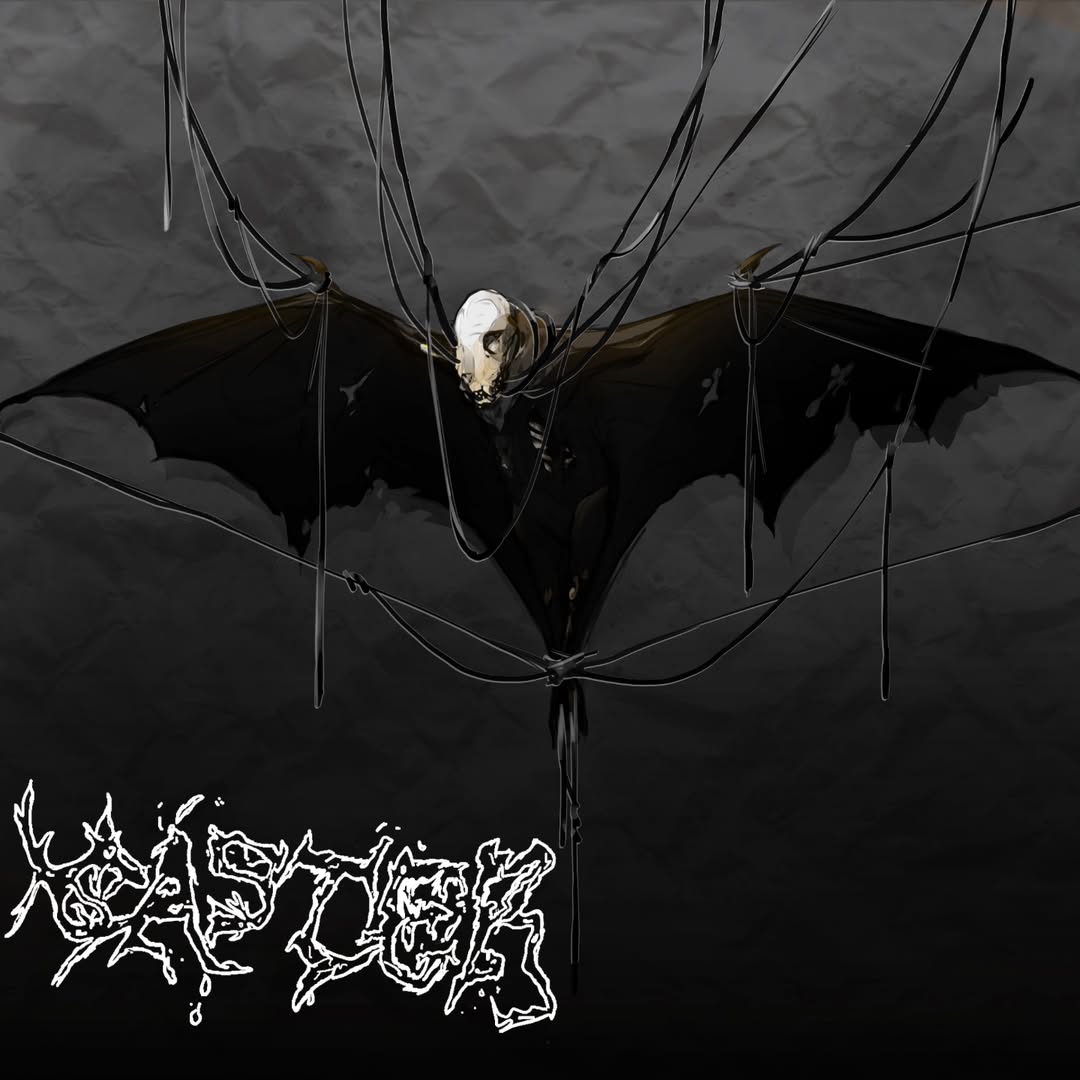 CASTER - Caster cover 