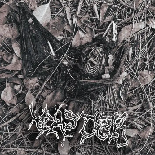 CASTER - To See Is To Rot cover 