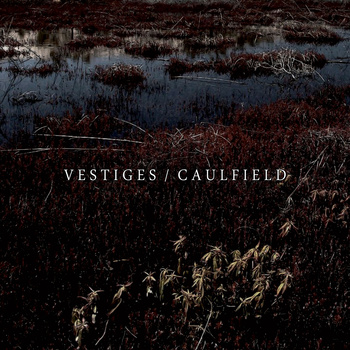CAULFIELD - Vestiges / Caulfield cover 