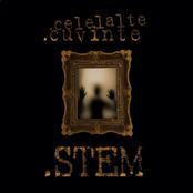 CELELALTE CUVINTE - Stem cover 