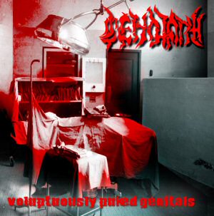 CENOTAPH - Voluptuously Puked Genitals cover 