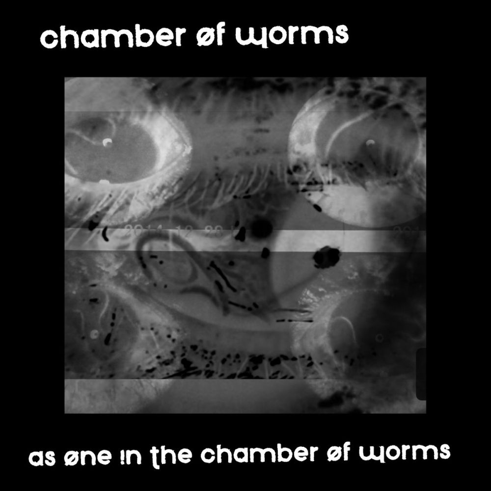 CHAMBER OF WORMS - As One In The Chamber Of Worms cover 