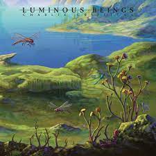 CHARLIE GRIFFITHS (TIKTAALIKA) - Luminous Beings cover 