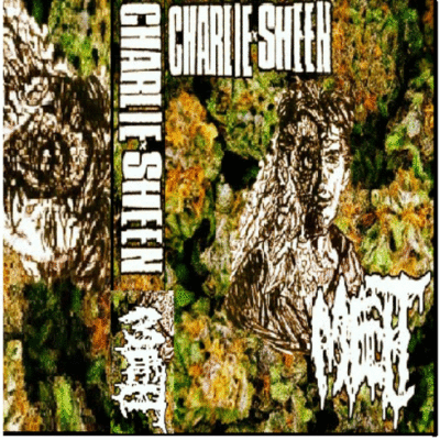 CHARLIEXSHEEN - Split cover 
