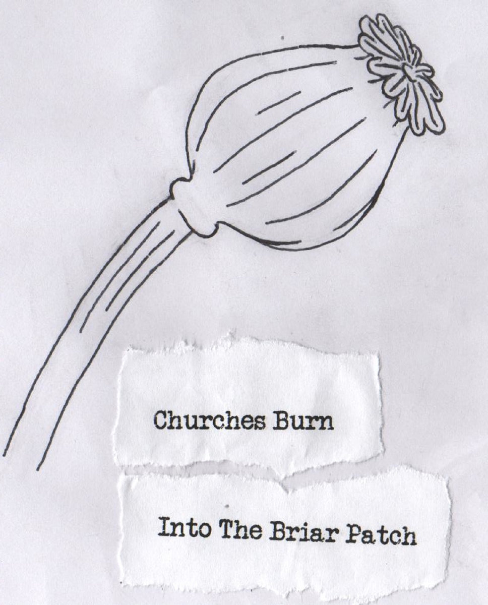 CHURCHES BURN - Into The Briar Patch cover 