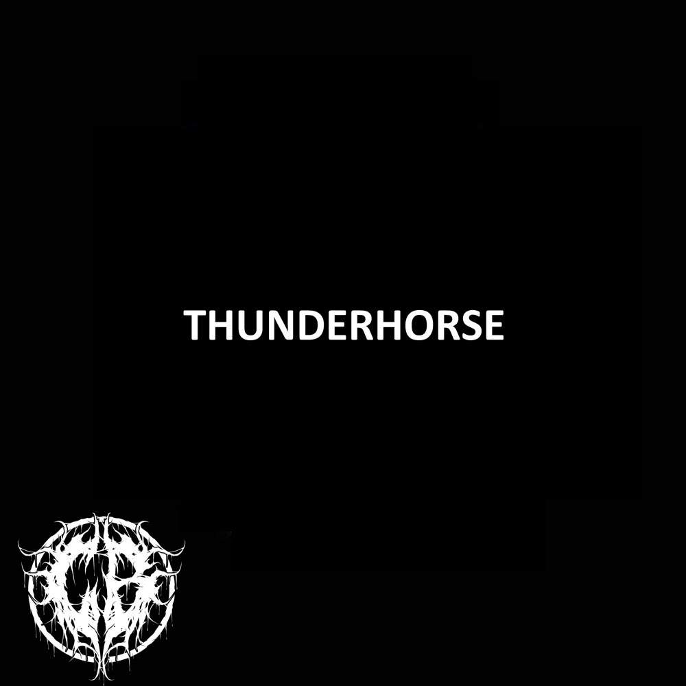 CINCINATTI BOWTIE - Thunderhorse cover 