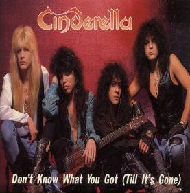 CINDERELLA - Don't Know What You Got (Till It's Gone) cover 