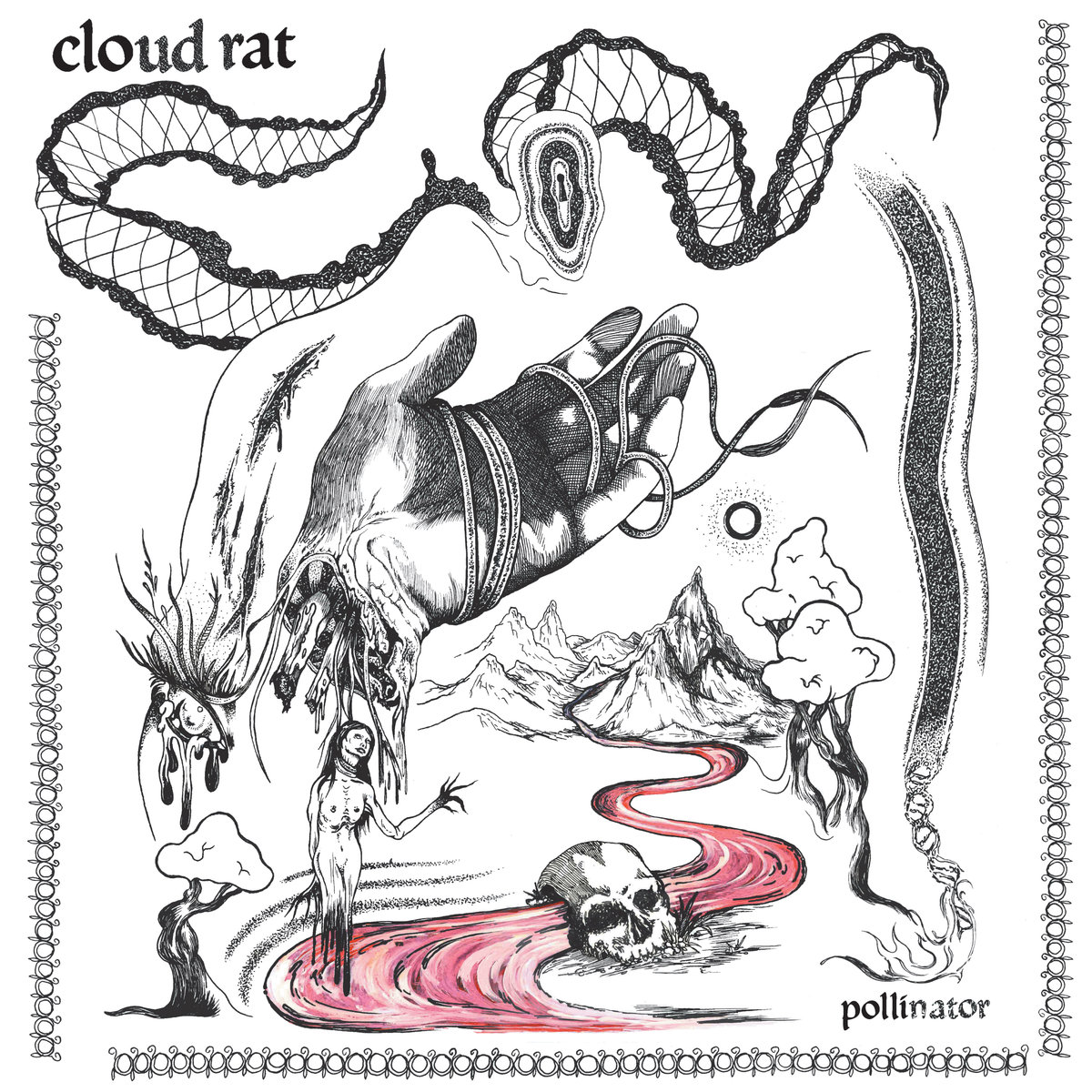 CLOUD RAT - Pollinator cover 