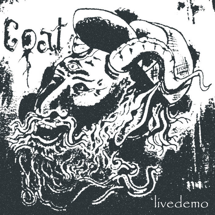 COAT - Livedemo cover 