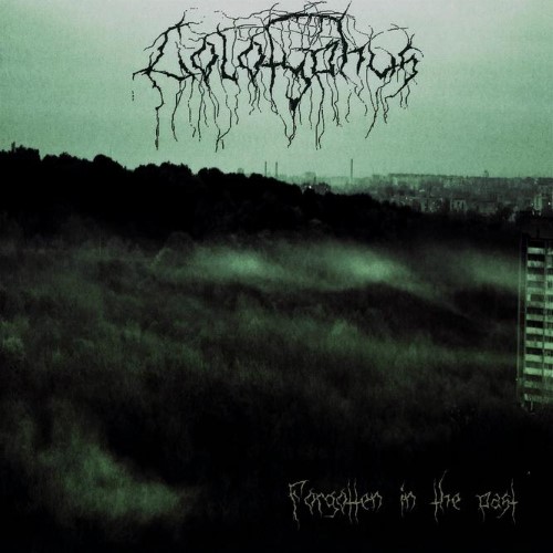COLOTYPHUS - Forgotten in the Past cover 