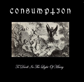 CONSUMPTION (VA) - To Dwell In The Light Of Misery cover 