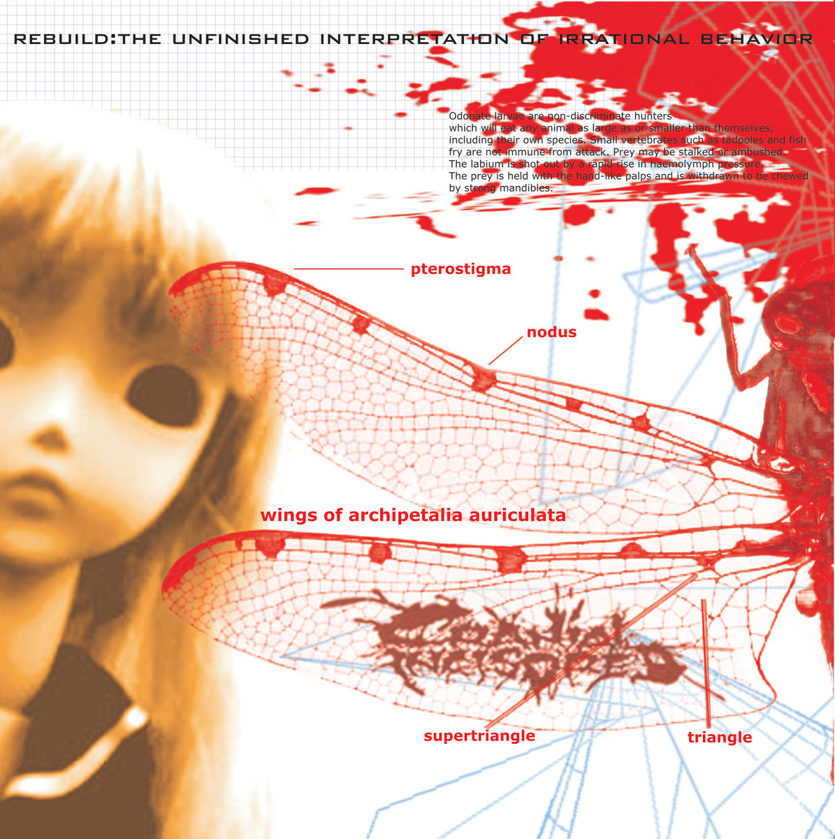 CRANIAL INCISORED - Rebuild : The Unfinished Interpretation Of Irrational Behavior cover 