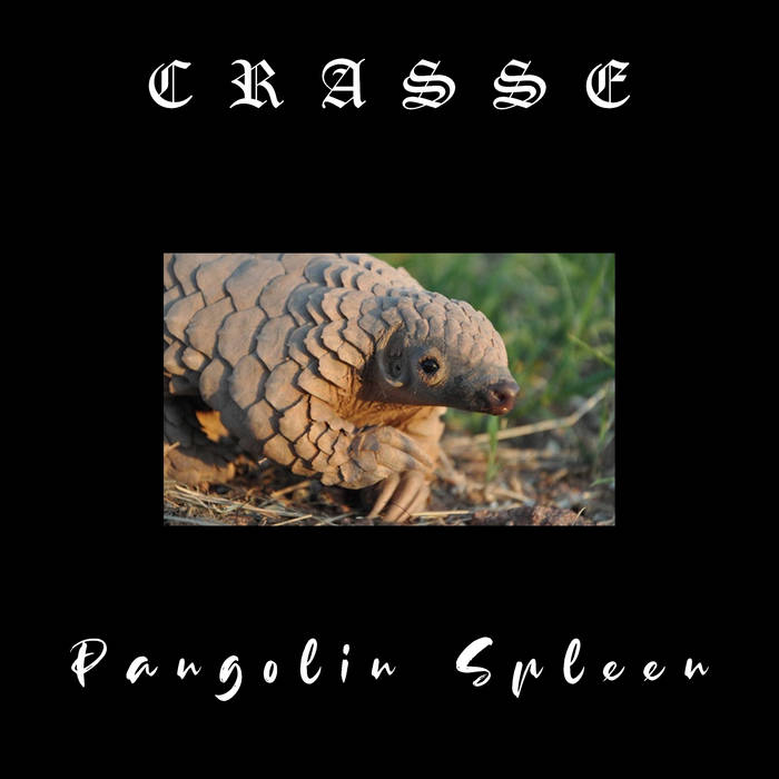 CRASSE (NAQ) - Pangolin Spleen cover 