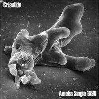 CRISÁLIDA - Ameba cover 