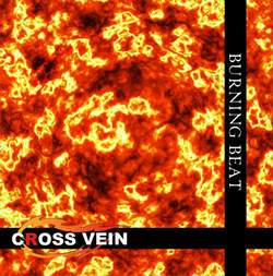 CROSS VEIN - Burning Beat cover 