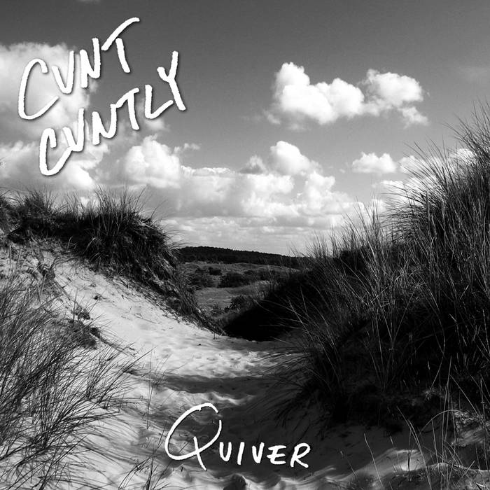 CUNT CUNTLY - Quiver cover 