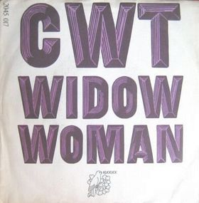 CWT - Widow Woman / Signed DC cover 