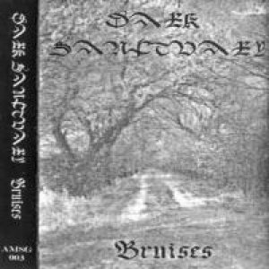 DARK SANCTUARY - Bruises cover 