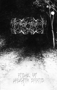 DARKNESS ENSHROUDED THE MIST - Ritual of Undeath Spirits cover 