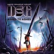 DAVID SHANKLE GROUP - Ashes to Ashes cover 