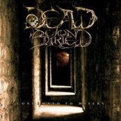 DEAD BEYOND BURIED - Condemned to Misery cover 