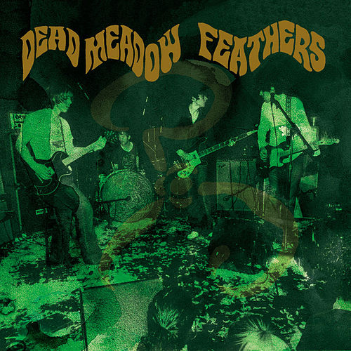 DEAD MEADOW - Feathers cover 