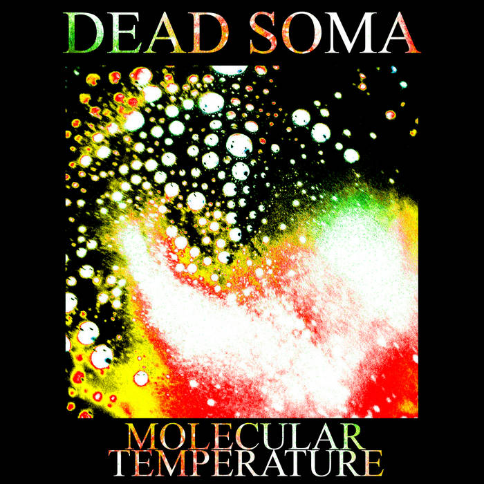 DEAD SOMA - Molecular Temperature cover 