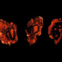 DEATHSPELL OMEGA - Knse cover 