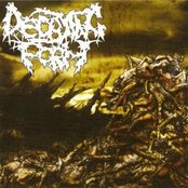 DECAYING FORM - Chronicles Of Decimation cover 