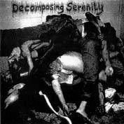 DECOMPOSING SERENITY - Rectify The Anal Bombshell cover 
