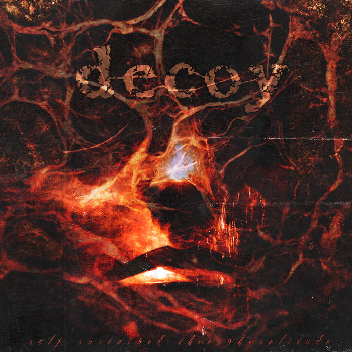 DECOY - Self Sustained Through Solitude cover 