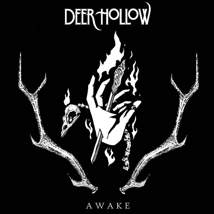 DEER HOLLOW - Awake cover 