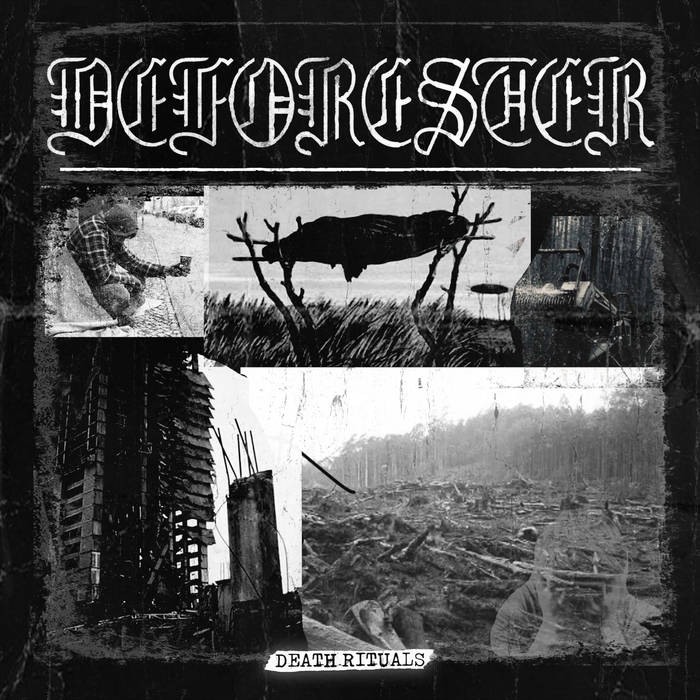 DEFORESTER - Death Rituals cover 