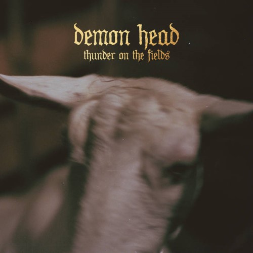 DEMON HEAD - Thunder on the Fields cover 