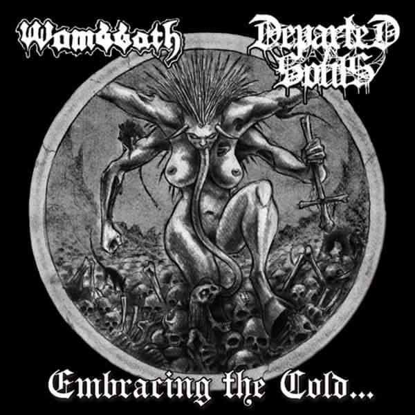 DEPARTED SOULS - Embracing The Cold... cover 