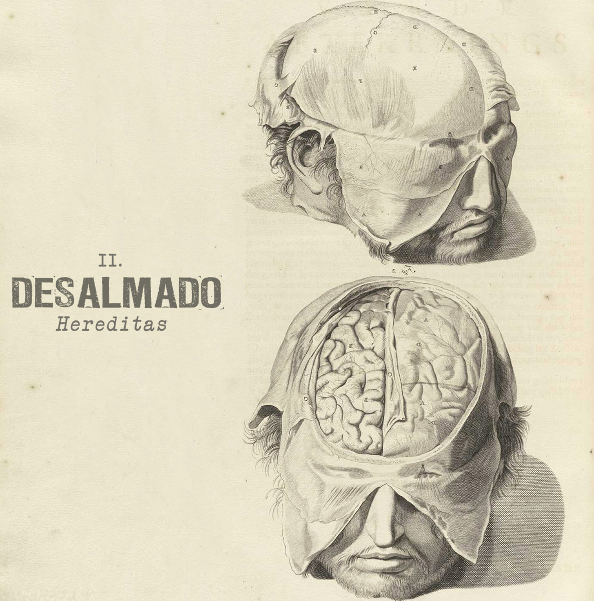 DESALMADO - Hereditas cover 