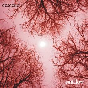 DESCEND - Sunflow cover 