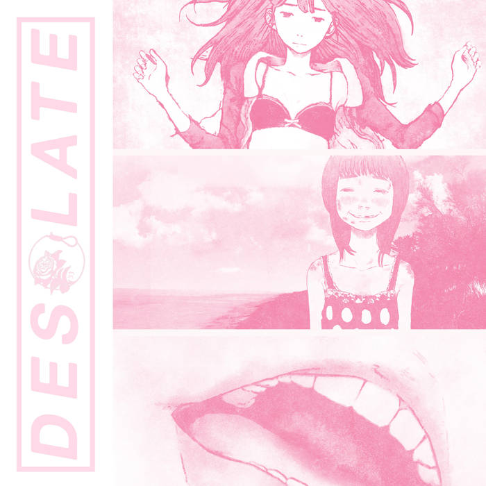 DESOLATE - Aiko cover 