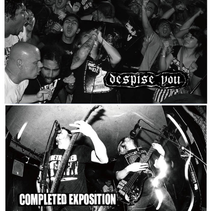 DESPISE YOU - Despise You / Completed Exposition - Japan Tour 2016 cover 