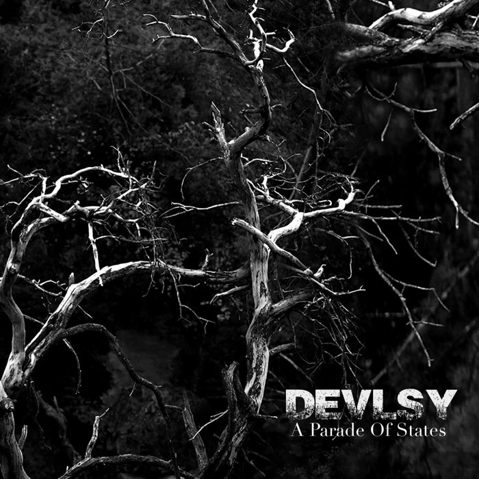 DEVLSY - A Parade Of States cover 