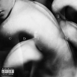 DIE/MAY - Odium cover 