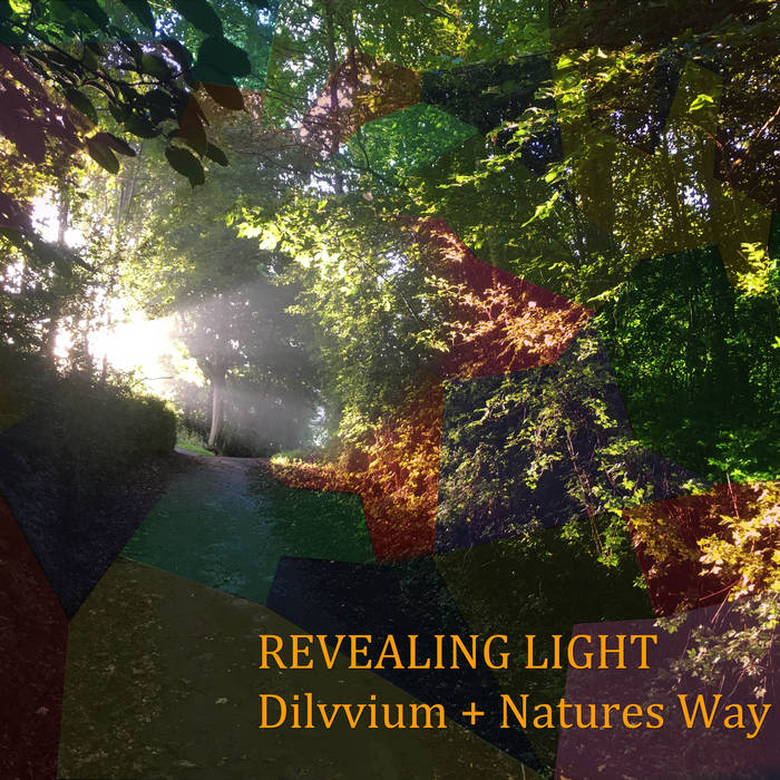 DILUVIUM - Revealing Light (with Natures Way) cover 