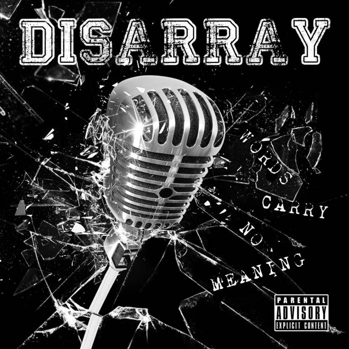 DISARRAY - Words Carry No Meaning cover 